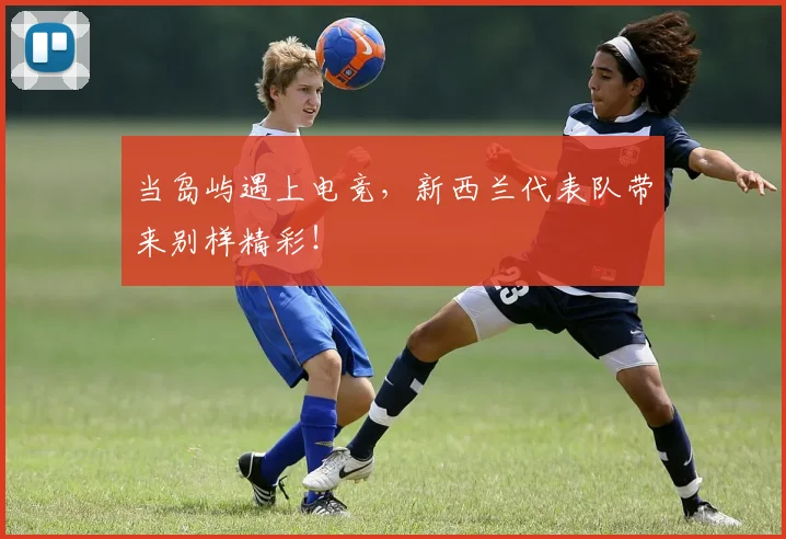 当岛屿遇上电竞，新西兰代表队带来别样精彩！