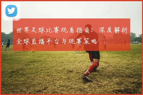 世界足球比赛观看指南：深度解析全球直播平台与观赛策略